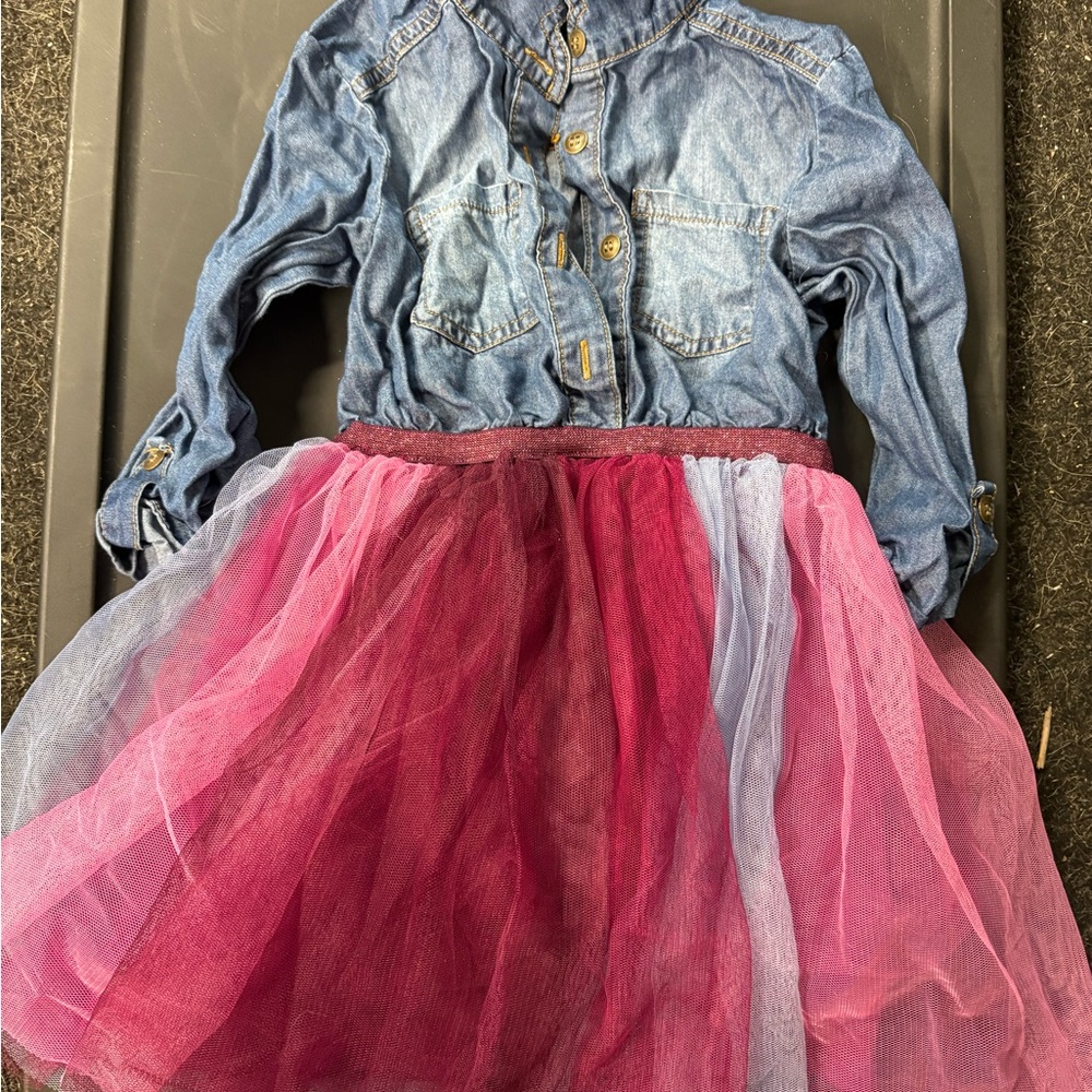 Pink & Violet Denim and Tulle Dress